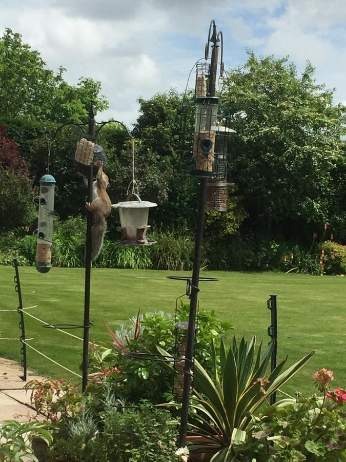 Castle Farmhouse Bed And Breakfast Glenfield Extérieur photo